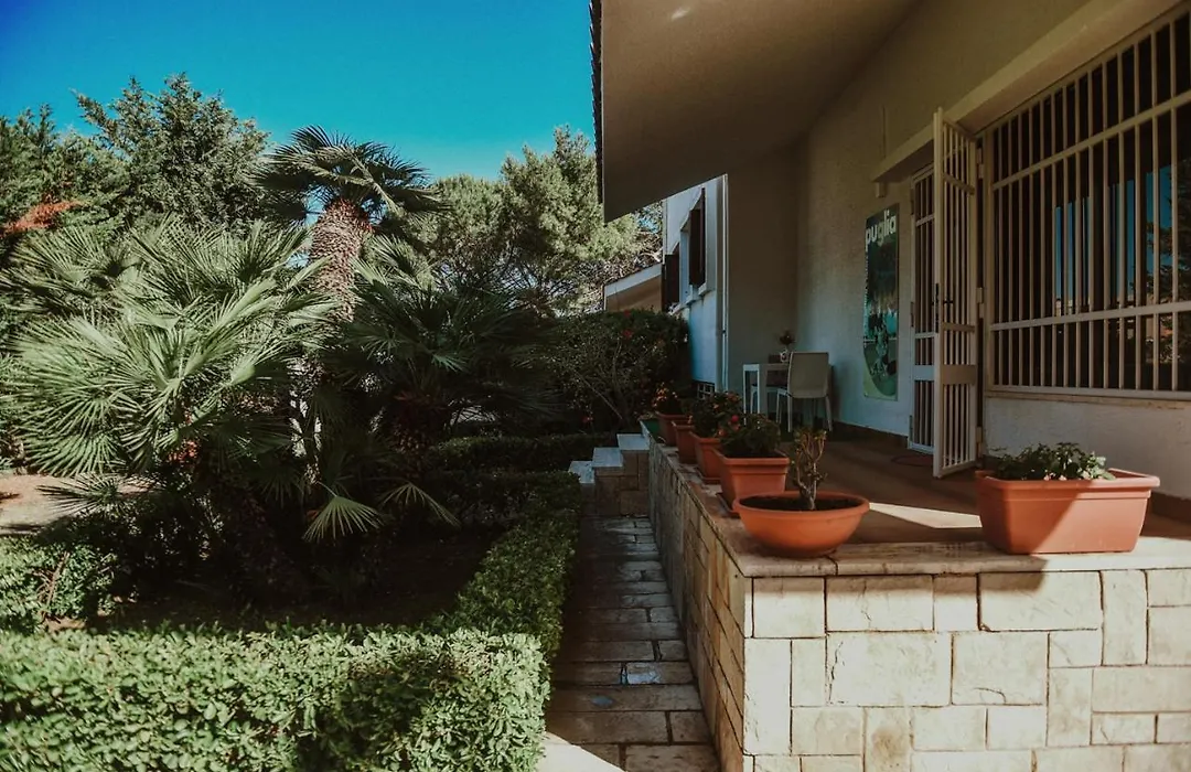 B&B La Sciaia A Mare-1