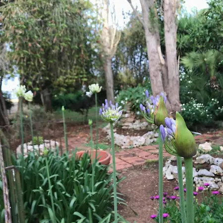 La casa di Sergio-2
